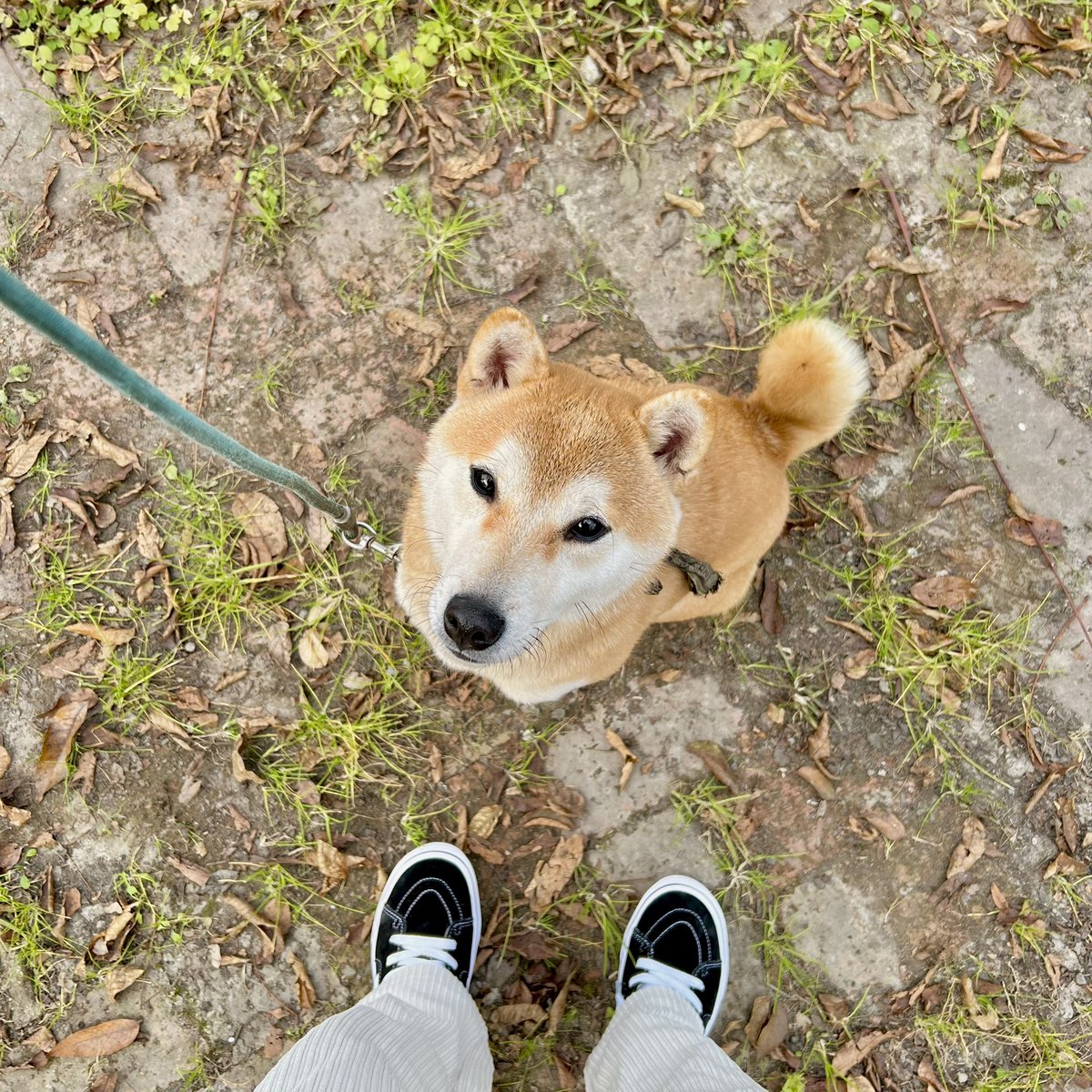 🥰