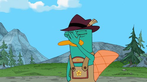 doesntdomuch's tweet image. 