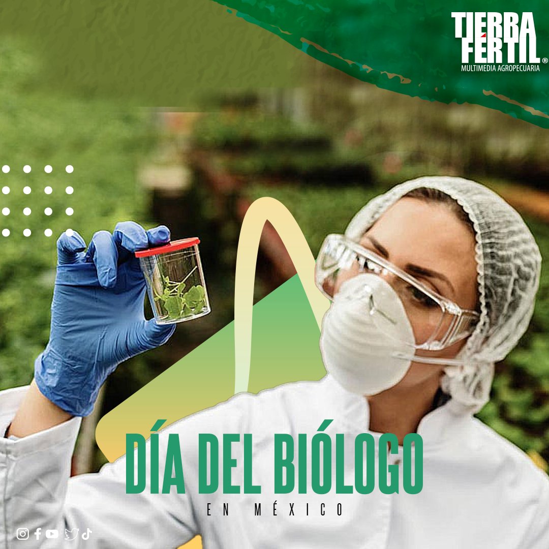 TierraFertilMex's tweet image. ¡Felicitamos a las y los #biólogos de México! 💚
Gracias por su compromiso y labor en la preservación de la vida, la agricultura, ganadería y pesca es de enorme trascendencia, tanto para la conservación ambiental, como para la seguridad alimentaria. #TierraFértil