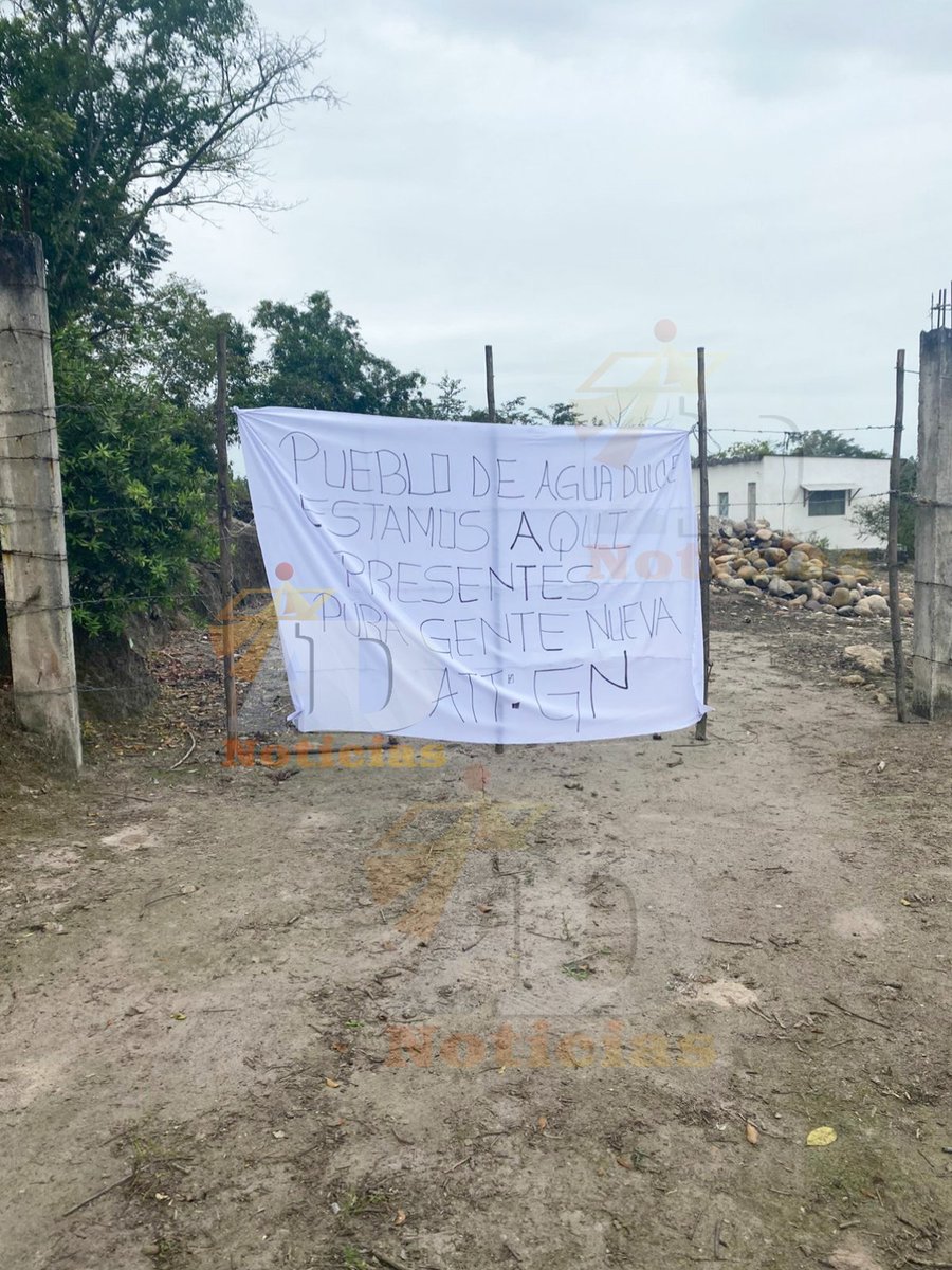 AD Noticias (@ADNoticiasVer) / Posts / X, image size:900x1200