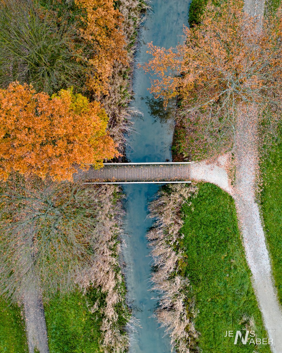 JensNaber's tweet photo. foot #bridge over a small #stream with #autumn #trees 

#autumnmood #autumncolors #colors #colorful #water #creek #landscape #landscapephotography #photooftheday #photography 
#brücke #bach #herbst #herbstfarben #farbenfroh #farben #landschaft #landschaftsfotografie #fotografie https://t.co/cPjbiMiq0P