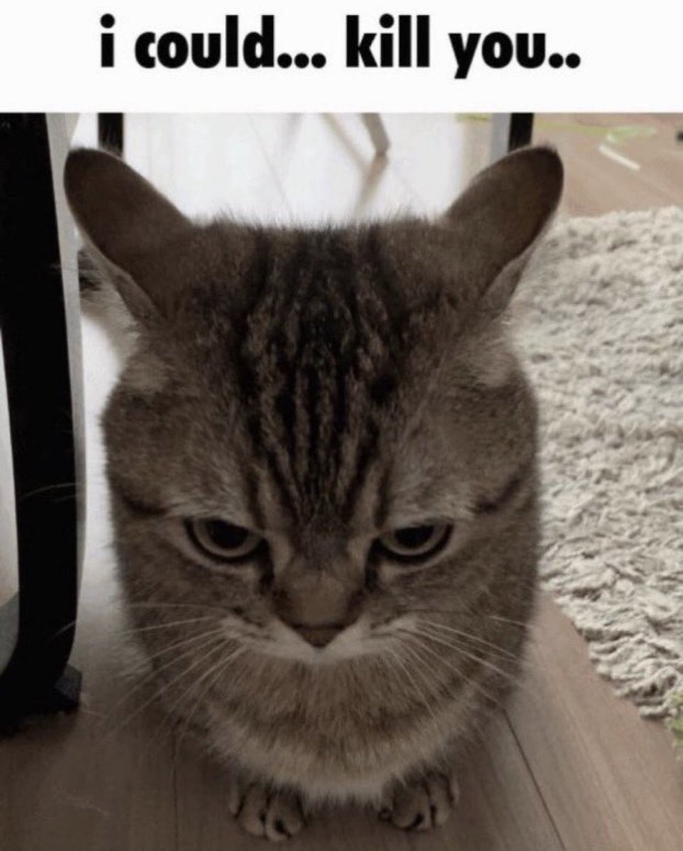 𝑻𝒉𝒆 𝑪𝑬𝑶 (@_darklie_) on Twitter photo 