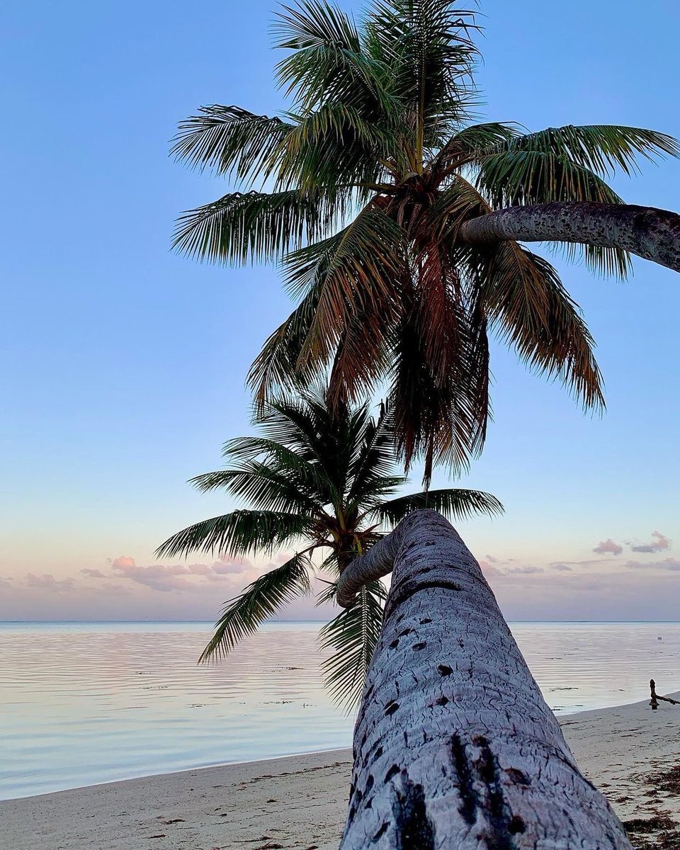 freywl's tweet image. J’y pense