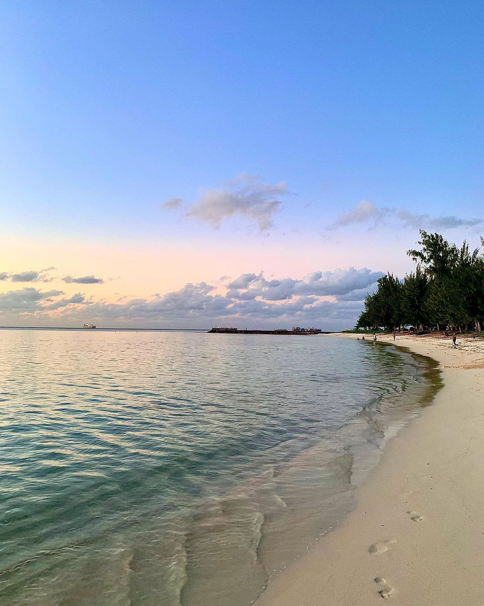 freywl's tweet image. J’y pense