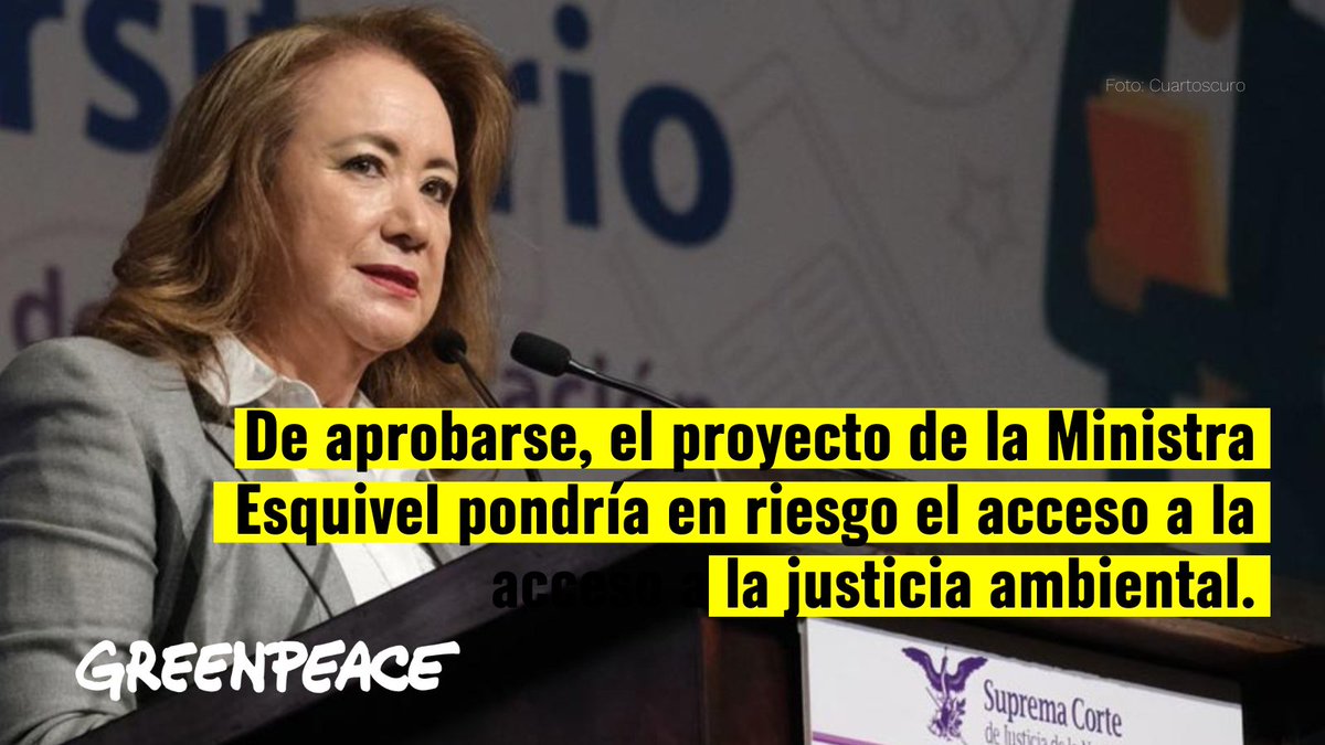 greenpeacemx's tweet photo. Hoy en punto de las 3 de la tarde sesiona la Segunda Sala de la @SCJN y se discutirá un proyecto de la Ministra @YasminEsquivel_ que indica que las organizaciones ya no podremos interponer amparos para defender derechos. 

Más info acá: https://t.co/9ZF0c7fjIk https://t.co/CIZAJrR6pQ