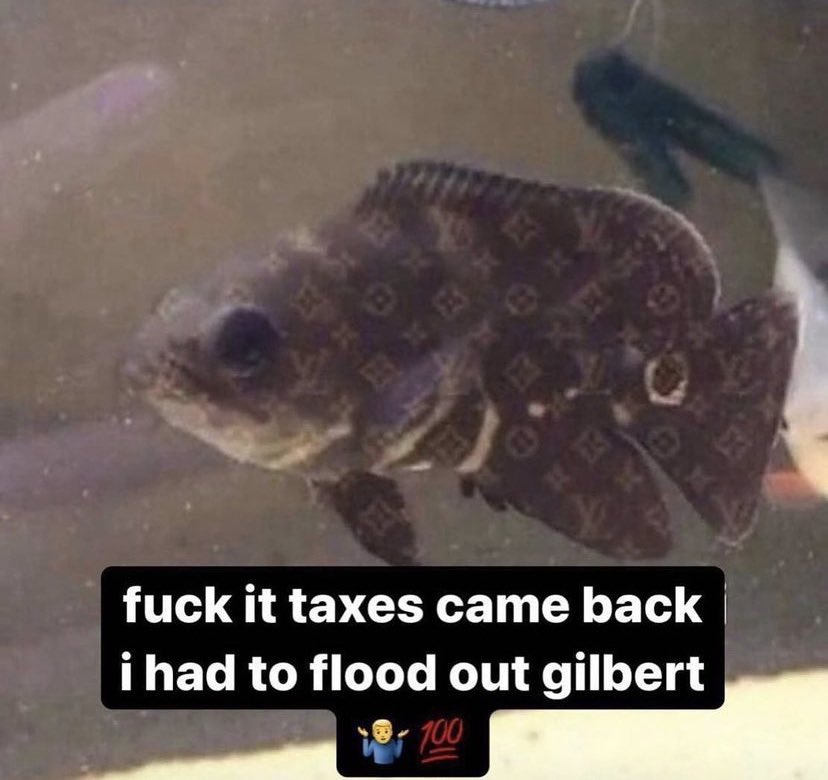 $B (@brendandagawd) on Twitter photo 