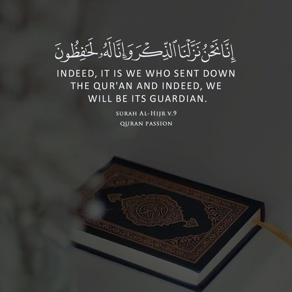 Talhassan's tweet photo. شيء دانماركي سافل حقير في #السويد يتبعه منحط تافه في #هولندا الأول يقوم ب #حرق_المصحف والثاني يقوم ب #تمزيق_المصحف ووضع قدمه النجسة على اوراقه لايعلم هؤلاء الشاذين اخلاقيا والمنحرفين فكريا بأنه لا يمكنهم تدنيس #القران_الكريم ولا النيل منه فهو في القلوب والعقول #الاسلام الدين الحق https://t.co/XSHZ2KHlPX