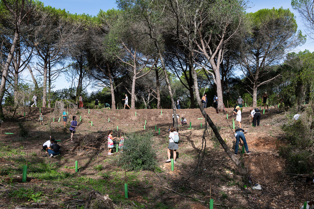 Planting a tree can be creative! On January 28th we have 525 trees to plant in a partnership with Bocabienal.org and <a href="/CamaraLisboa/">Lisboa</a>  

Join us 👉 bocabienal.org
#Lisboa #plantacao #arvores #bocabienal
 <a href="/LIFE/">LIFE</a>