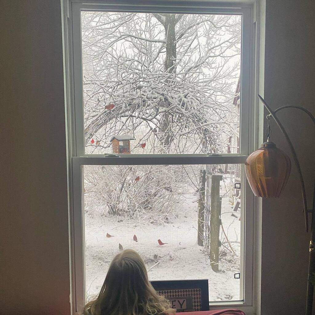 TheMusicMal's tweet photo. Lil life update:

Despite the gorgeous snow, we are NOT in Connecticut anymore! After a good but challenging 3.5 years there, we decided it was time to come home. Currently we’re living with John’s parents on the Coffey farm while we look for our own pla… https://t.co/dhHJNZPY6W https://t.co/l536Cjxf5C