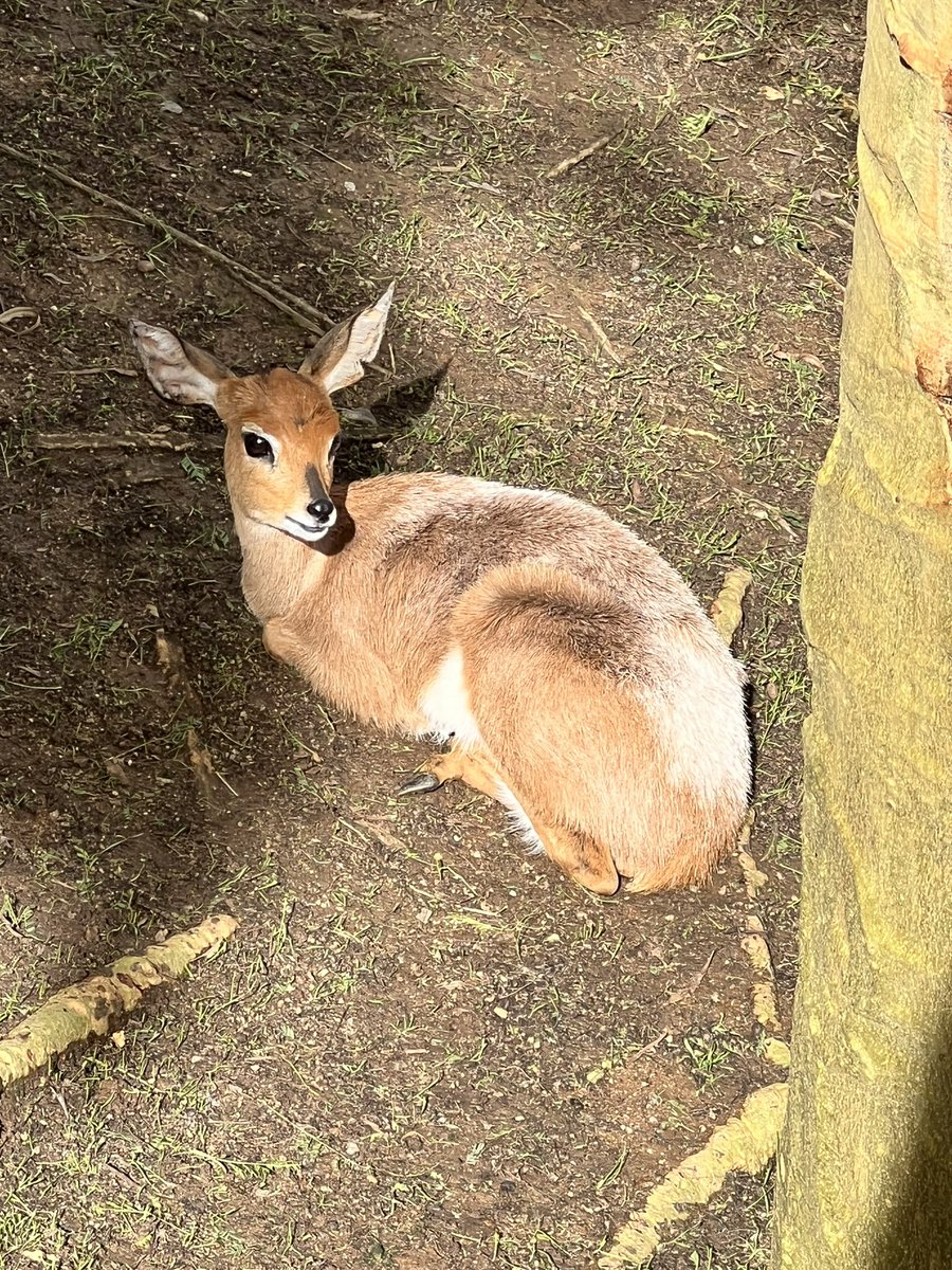 Hyperooof's tweet image. 