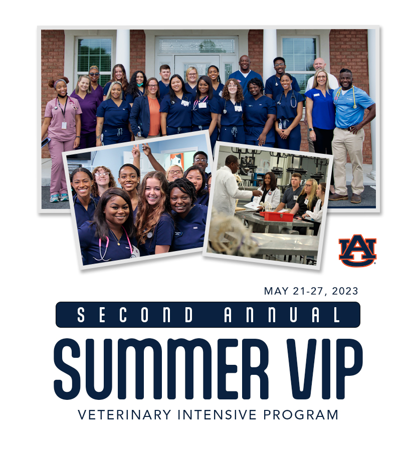 Current college students and recent college grads, apply today for Auburn Vet Med’s summer Veterinary Intensive Program on May 21-27.  Learn more &amp; apply:  bit.ly/3wtHtlu.