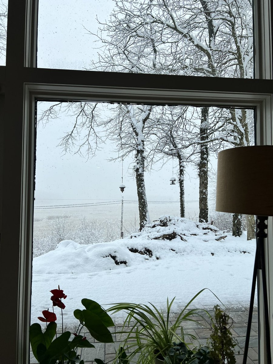 I live in a snow globe ❄️❄️ #lifeontheriver