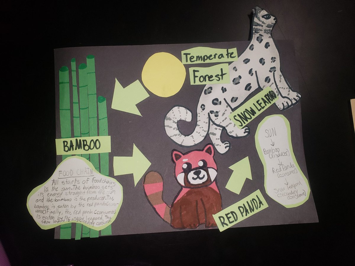 Jessica Watson tweet media