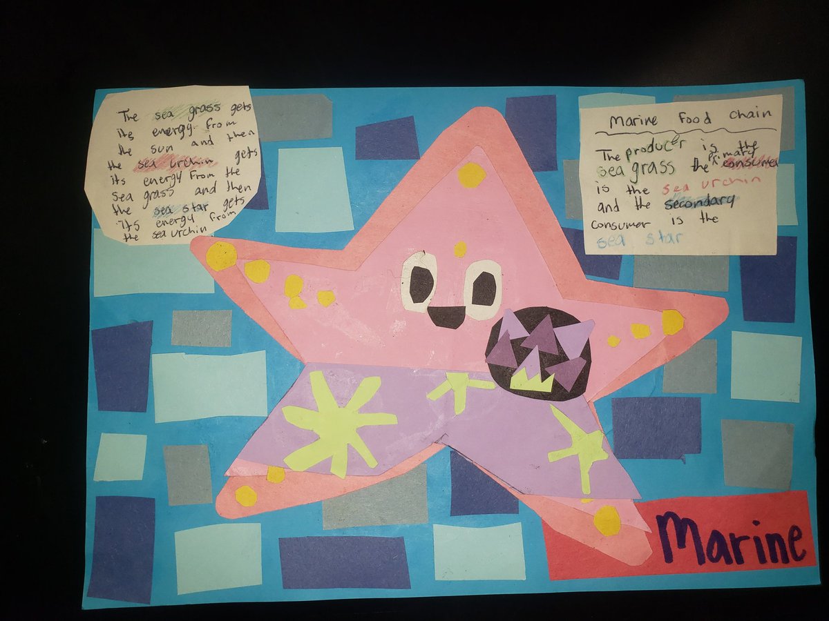 6th gr Ecosystem MOLA art integration project <a href="/ArundelMiddle/">Arundel Middle</a> @Aacps_Science