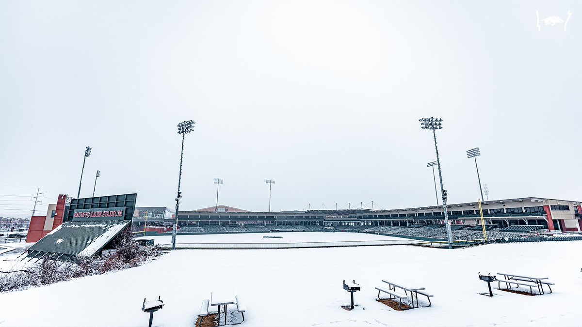 RazorbackBSB's tweet photo. It's a beaut! https://t.co/cRGGmrrHGB