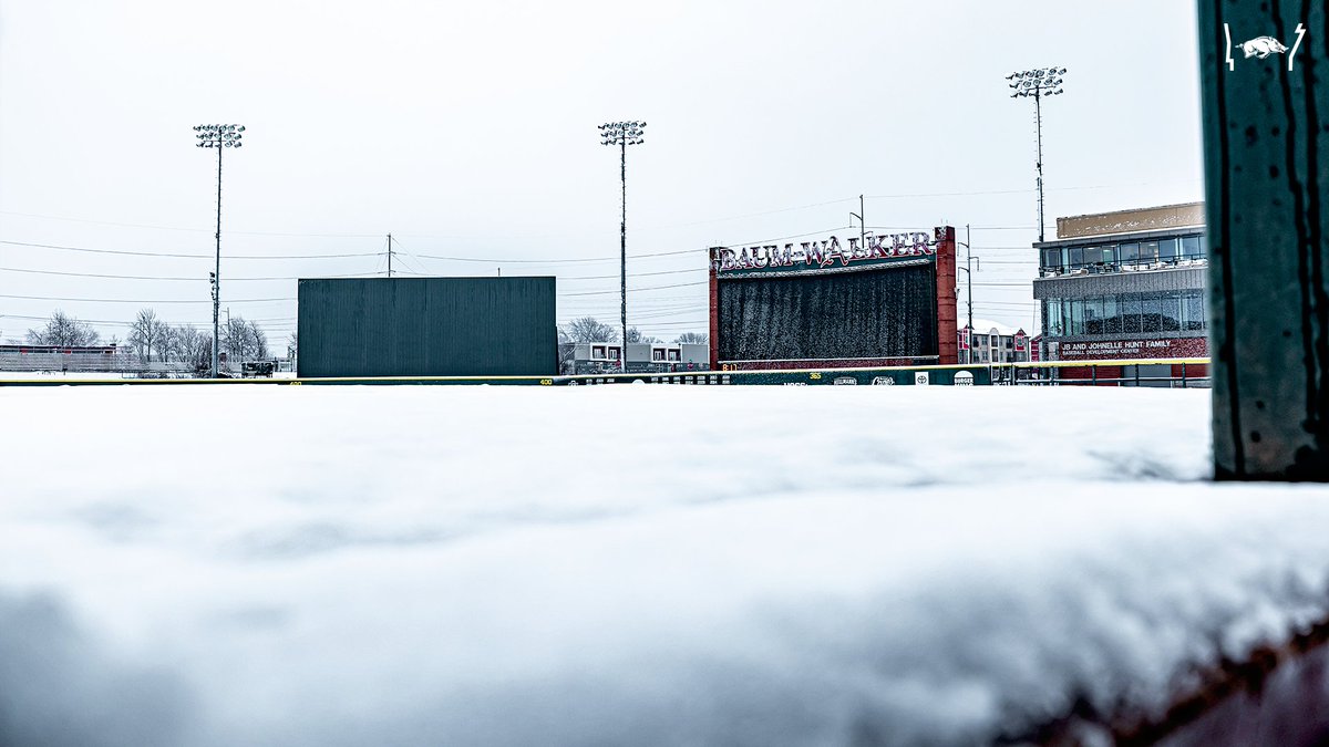 RazorbackBSB's tweet photo. It's a beaut! https://t.co/cRGGmrrHGB