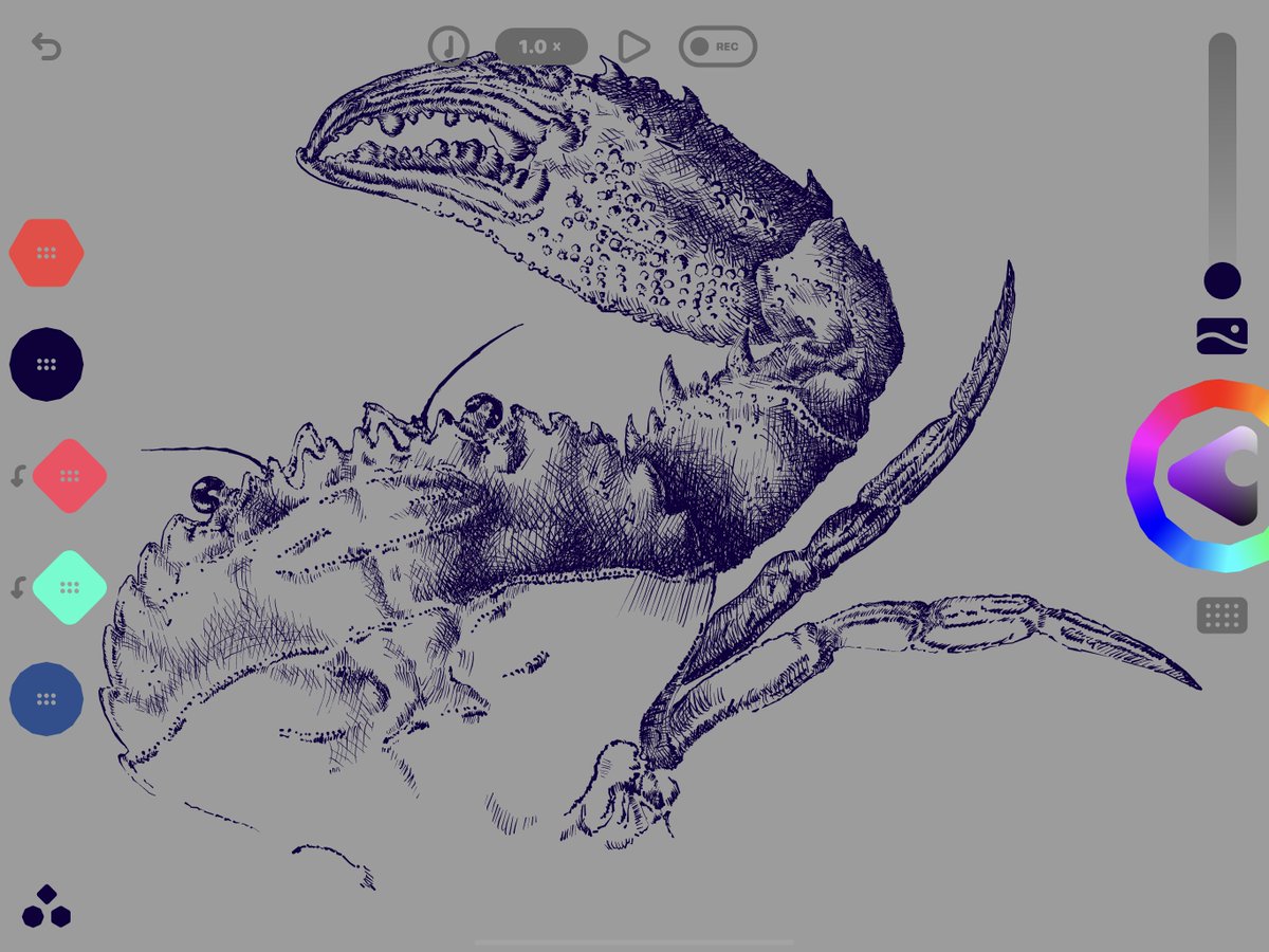 ojovivoMotion's tweet image. #WIP Playing with #looom
coming soon on @objktcom 
🦀
#gifart #cryptoart