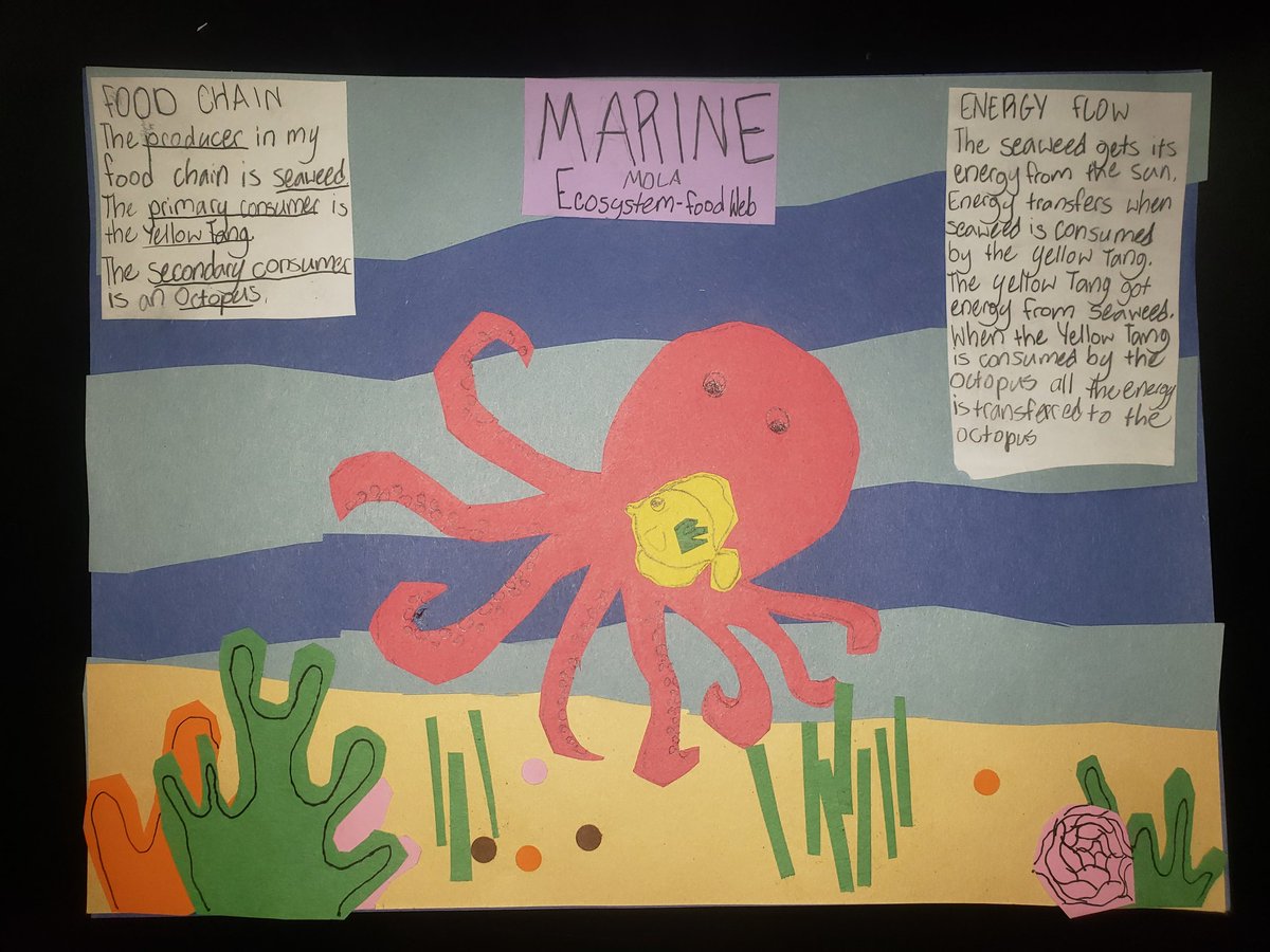 Jessica Watson tweet media