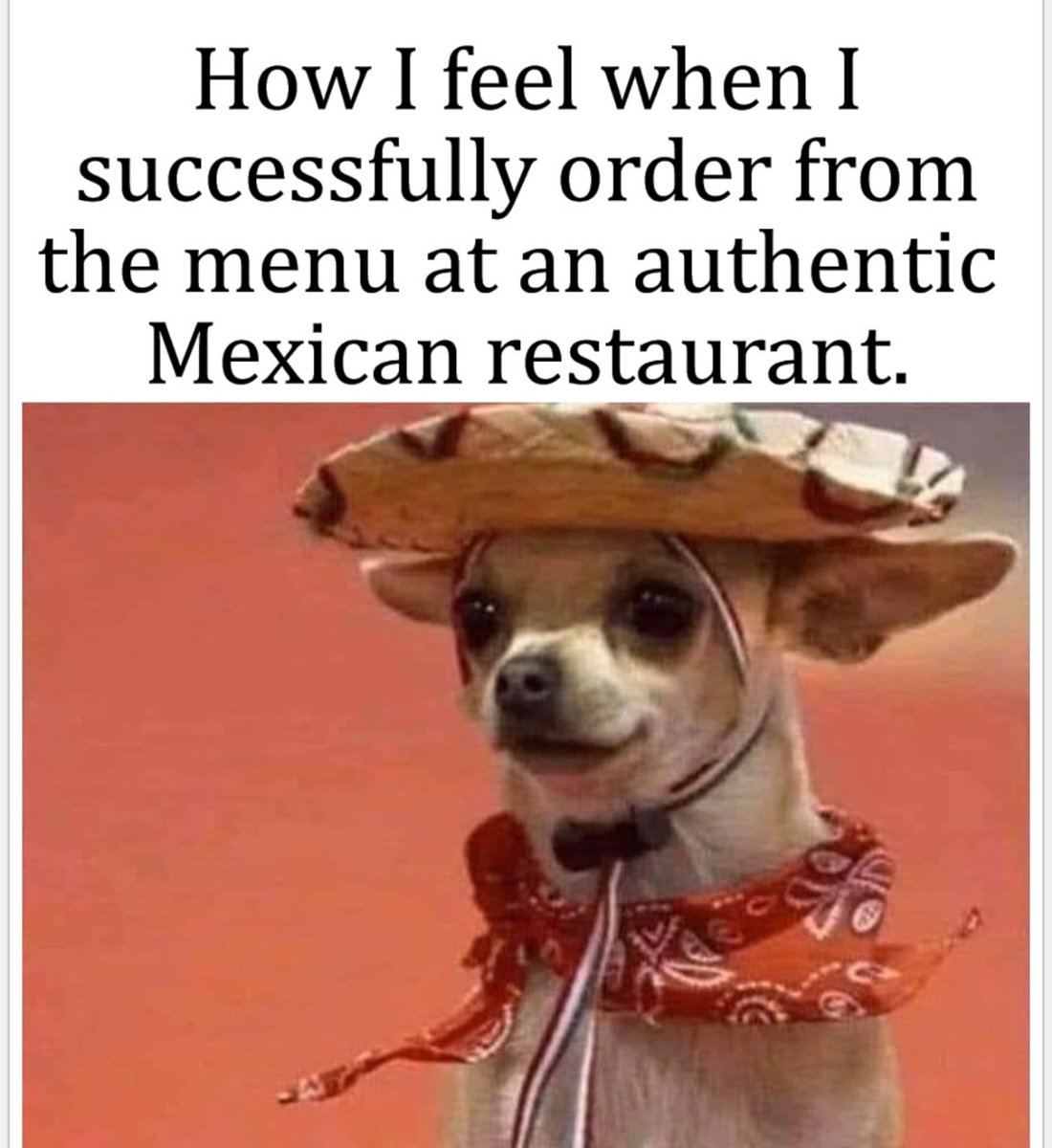 losbalitostaco's tweet photo. Does it happen to you too? 😂 

#mexican #funny #meme #taco #chihuahua #mexicanfood #sombrero #sanantonio #local https://t.co/QEN8SG0yHH