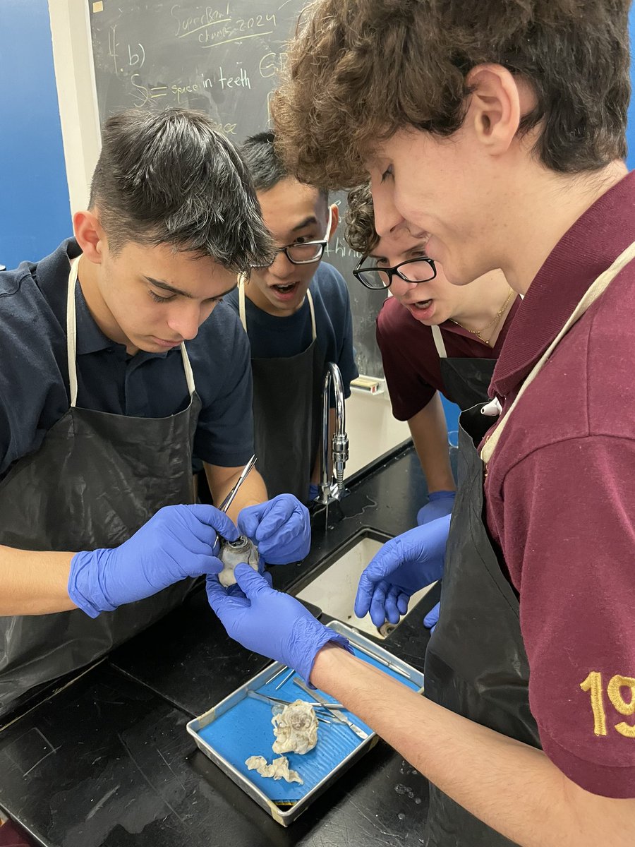 mpsjscience's tweet photo. Our Gr 12 IB Bio students were excited to dissect cow eyes and discover the pretty retina and large convex lens within. 🐮 👁️ @MPSJ_TCDSB @PowerIB #mpsjbio https://t.co/y1dTANMXbh