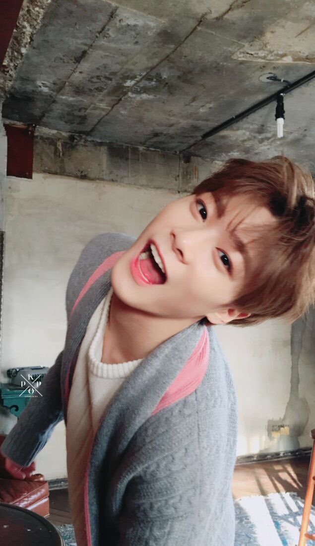 ll_mo126's tweet photo. ⋆*✩HAPPY MOONBIN DAY✩.*˚

#아로하의_빛나는달_빈아_생일축하해 https://t.co/76ZVZLusjM