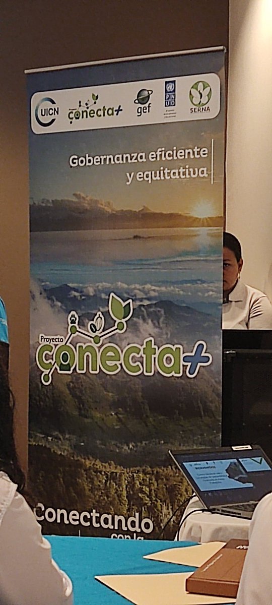 Funach Honduras tweet media