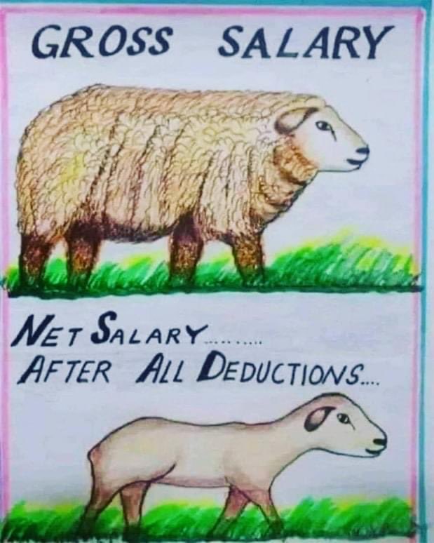 Bibi Husain (@bibihusain14) on Twitter photo 