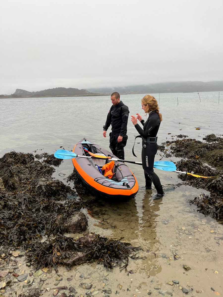 IssyKey's tweet image. Great day of fieldwork yesterday! We set up underwater microphones to investigate how the #soundscape of a #seagrass meadow changes as it is restored

Many thanks to the wonderful @seawilding for letting us study their restoration site! Excited to see what we hear... 🎶🎵