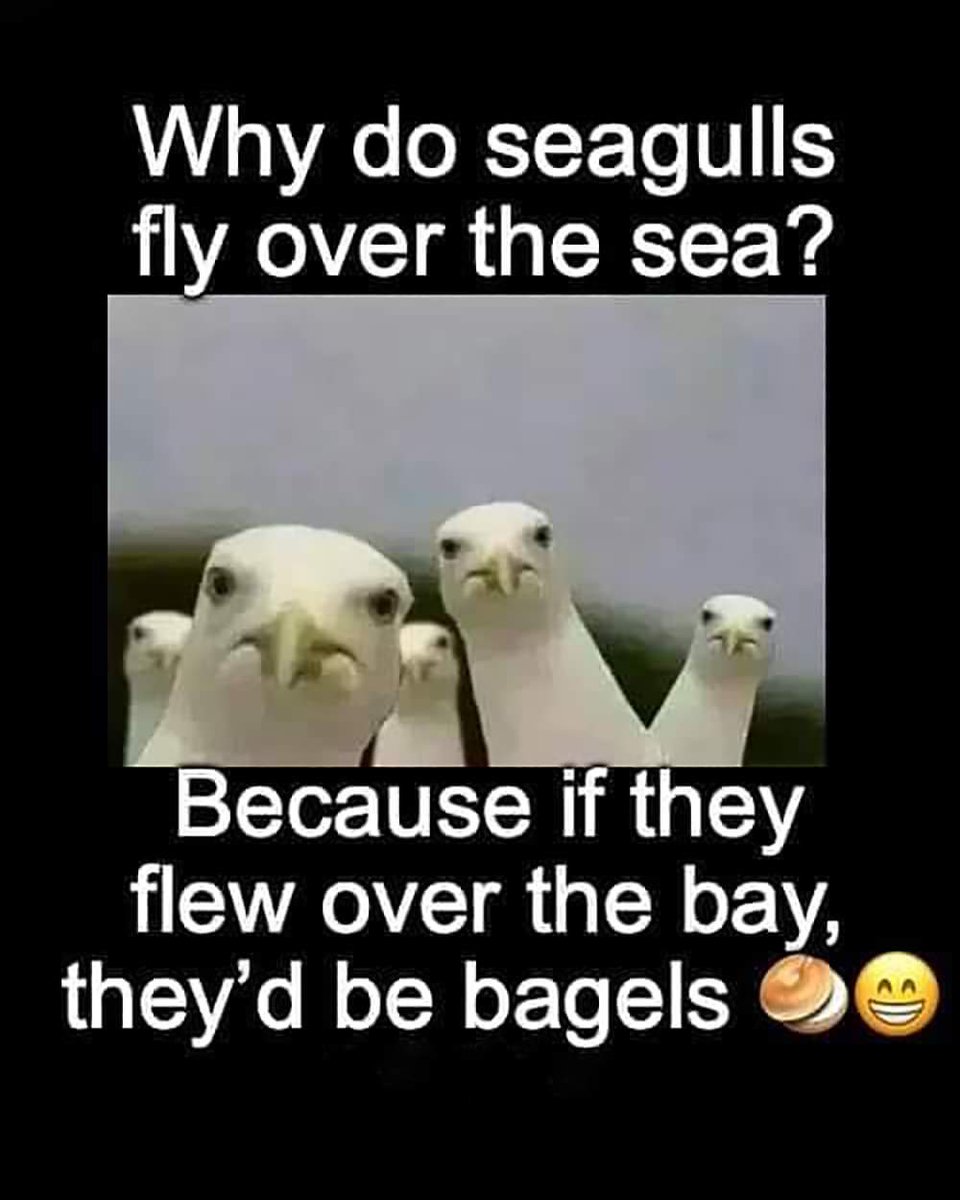 Dad joke, make no mistake.