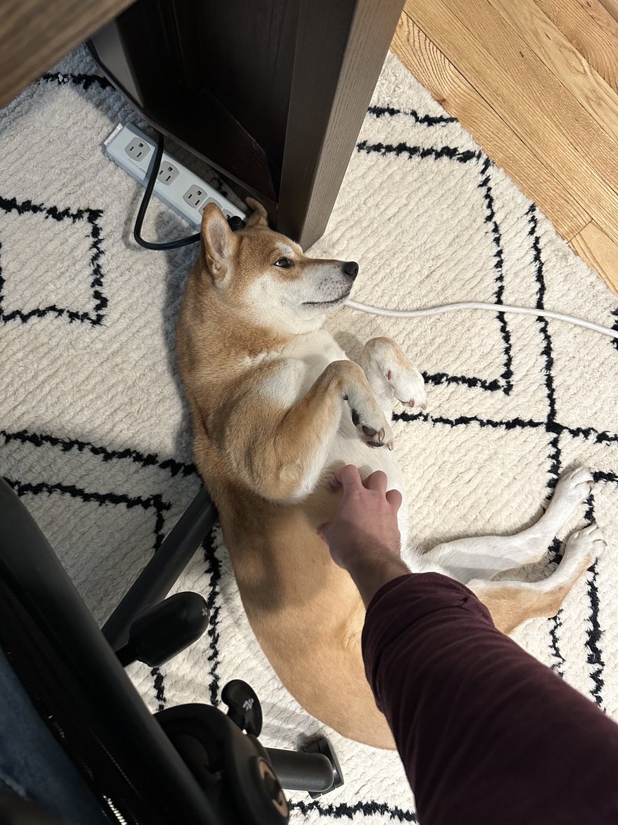 Jordan McKee tweet media