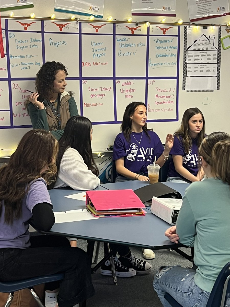 GHS_Ditto tweet media