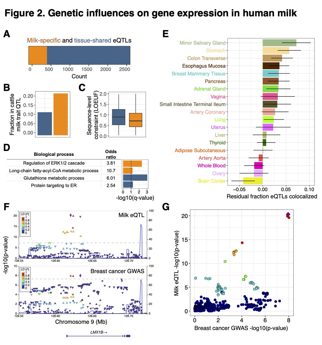 Kelsey Johnson (@kelsey_ej) on Twitter photo I am excited to share the preprint of my first postdoc paper (with <a href="/blekhman/">Ran Blekhman</a> <a href="/frankwalbert/">Frank Albert</a> @DemerathE), “Human milk variation is shaped by maternal genetics and impacts the infant gut microbiome” !!! biorxiv.org/content/10.110… This project began… I am excited to share the preprint of my first postdoc paper (with <a href="/blekhman/">Ran Blekhman</a> <a href="/frankwalbert/">Frank Albert</a> @DemerathE), “Human milk variation is shaped by maternal genetics and impacts the infant gut microbiome” !!! biorxiv.org/content/10.110… This project began…