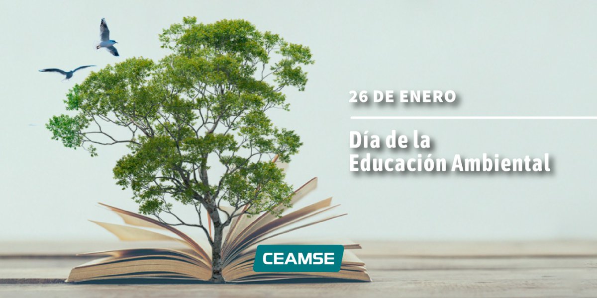 La Educación Ambiental es fundamental para el desarrollo de la conciencia y la generación de acciones que promuevan el cuidado de nuestro 🌎​
En CEAMSE comprendemos su importancia y brindamos capacitaciones en materia ambiental para transmitir nuestro conocimiento y experiencia.