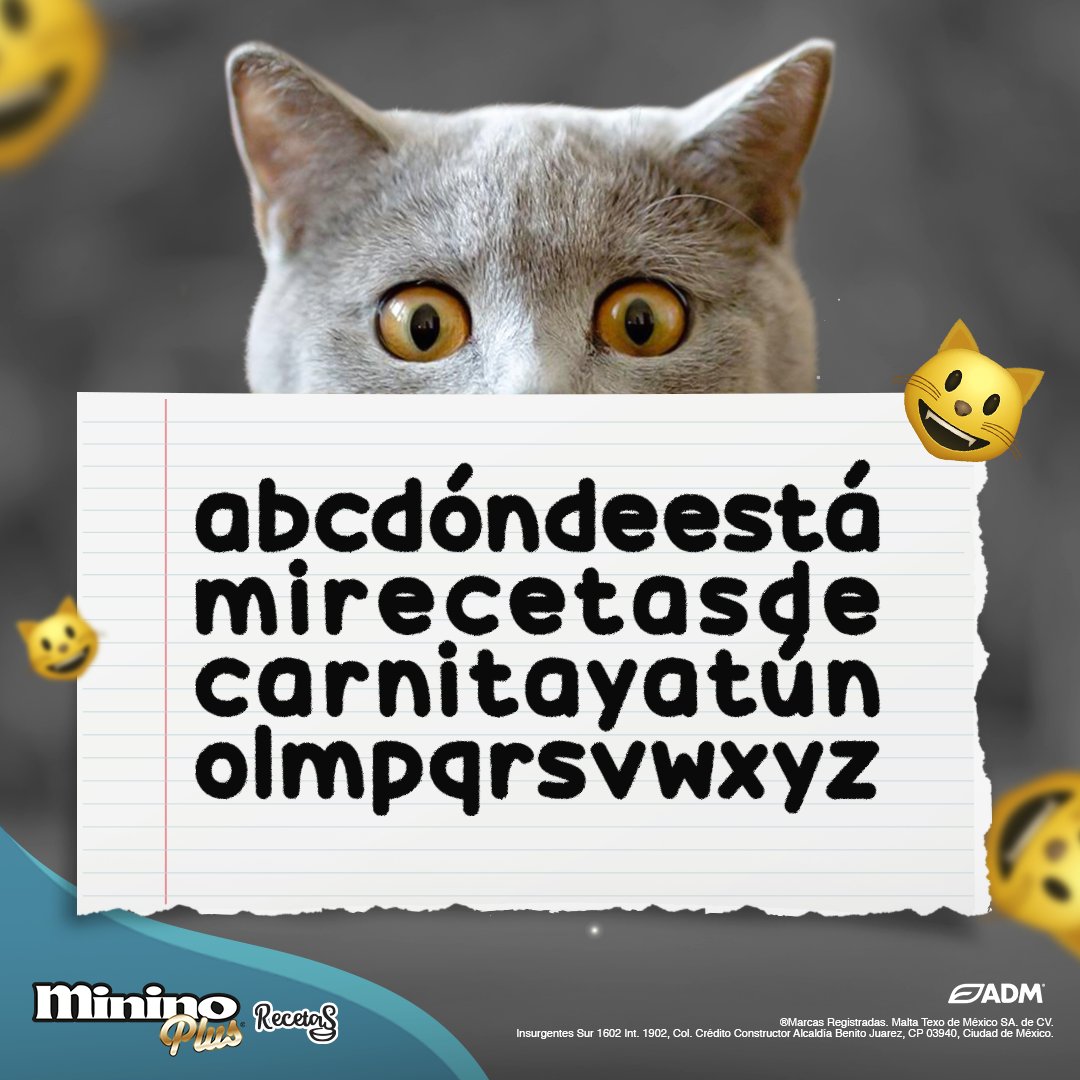 Michi dejó un mensaje oculto en la imagen ¿Lograste descifrarlo? Déjanos un 😻🧡🐟 en los comentarios y la foto de tu pequeño disfrutando los jugosos trocitos de Minino Plus® Recetas 😺
Visita nuestro sitio y conoce más sobre sus beneficios bit.ly/4046yke