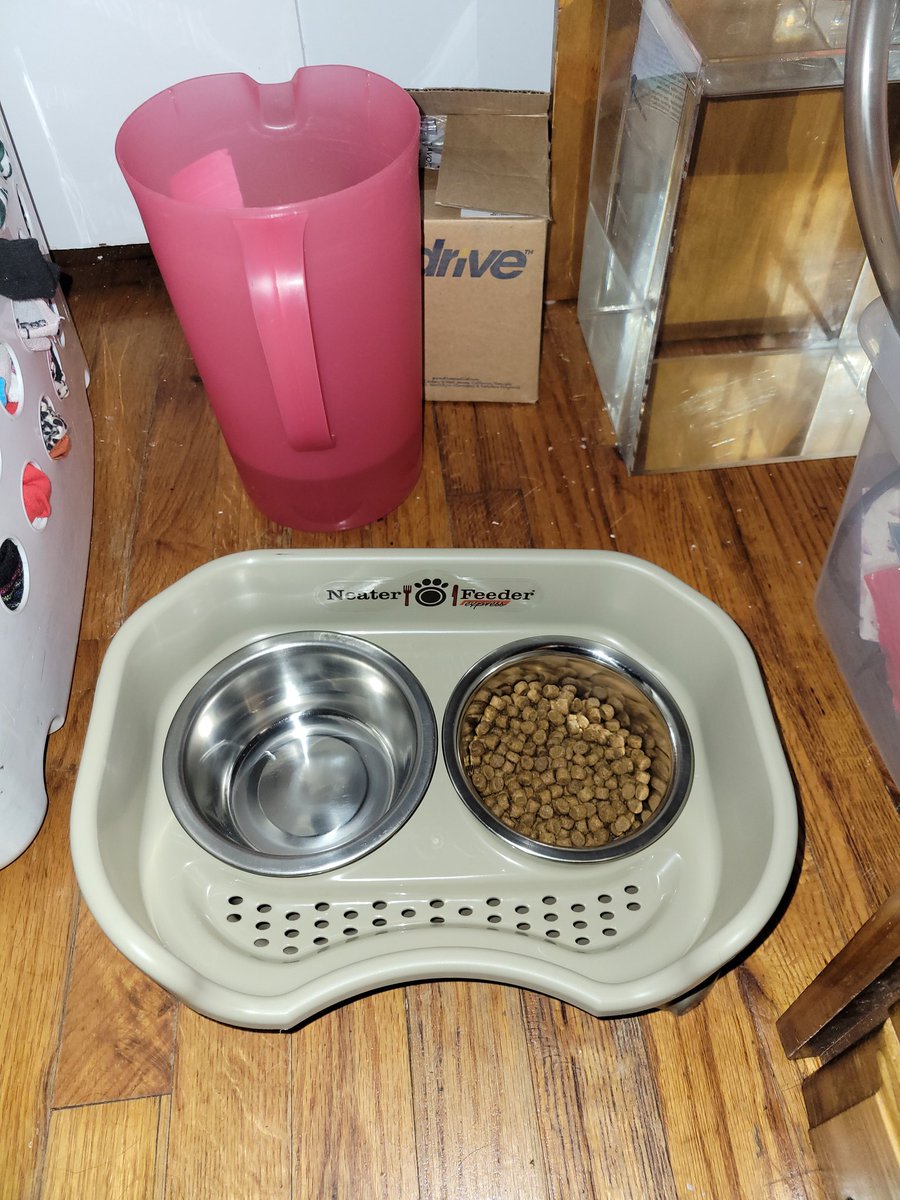 ThatOneSpazz's tweet photo. New bowl setup for the boy! 💕
(This is on account of him constantly moving the bowls everywhere and making a mess. No more mess now, hopefully!)

#Stitchthedog #dogmom https://t.co/DcMnVtto2t