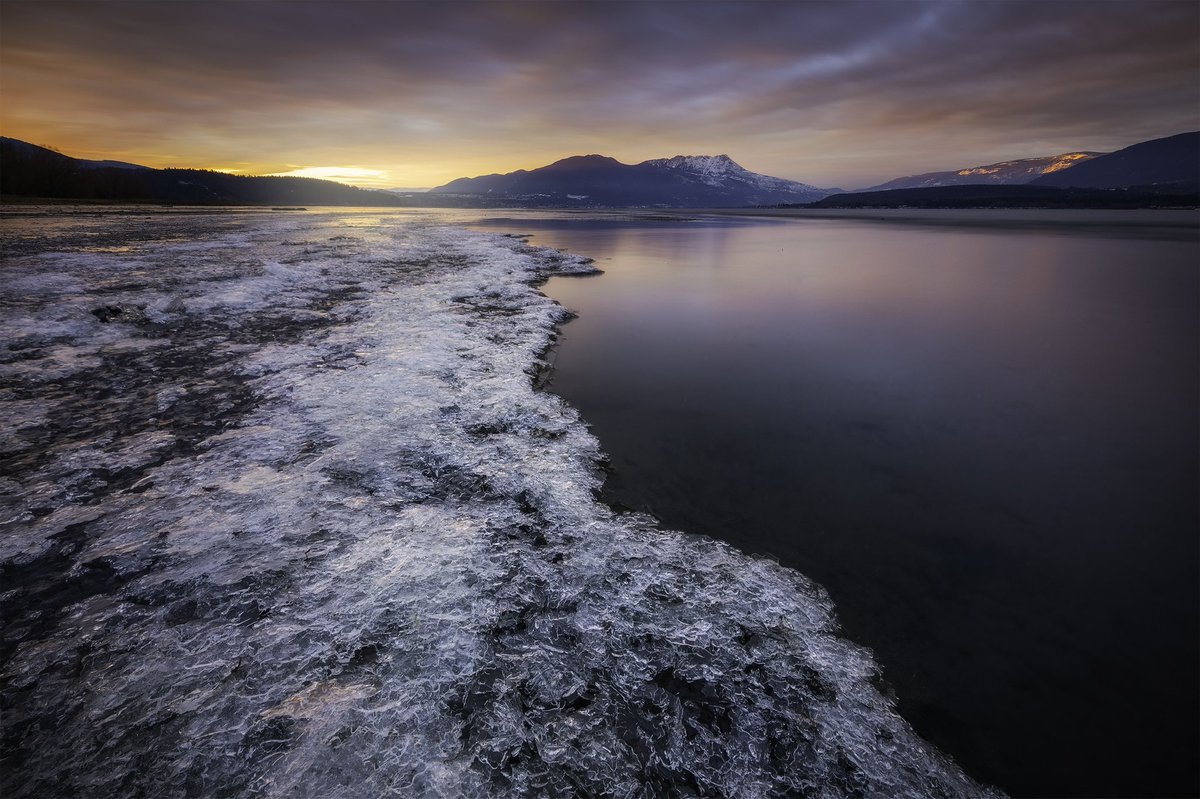 SarahLyndsay tweet media