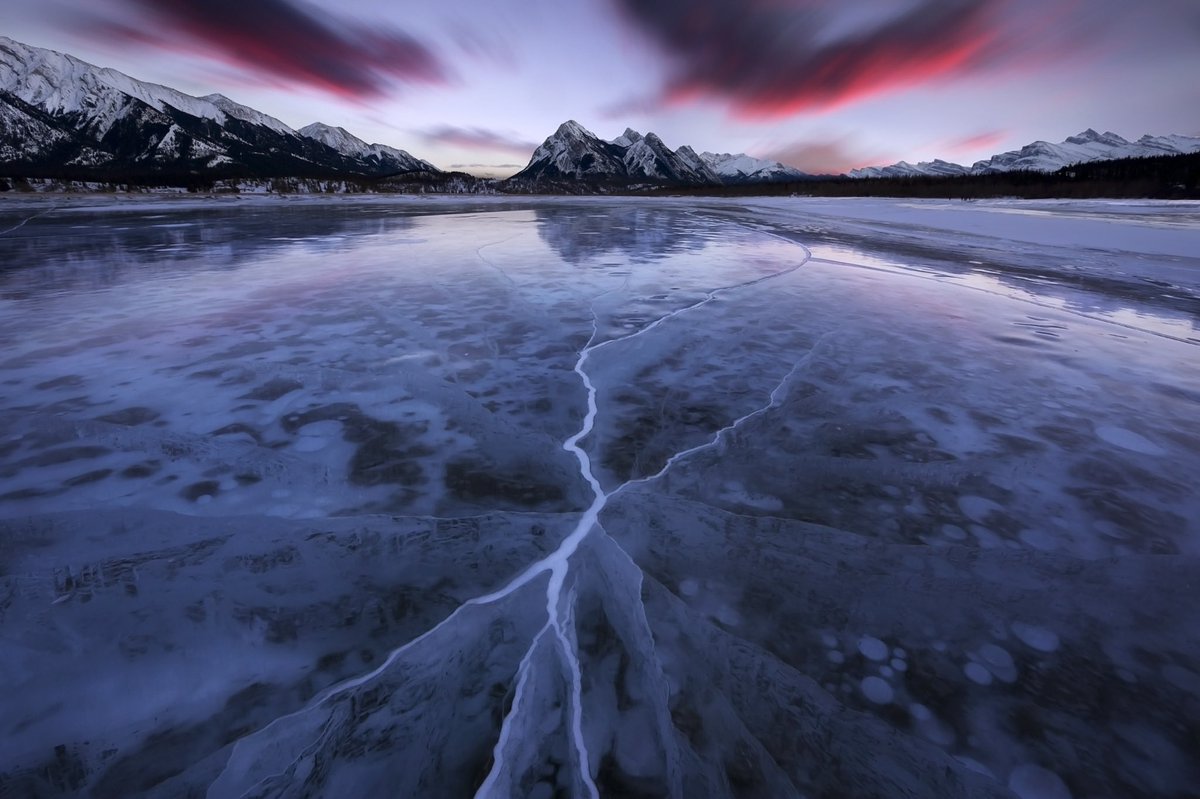 SarahLyndsay tweet media