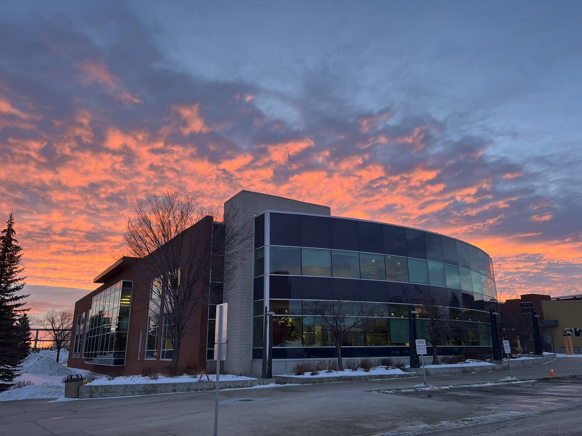 RedDeerPolytech's tweet image. The @rdpolytechlib has never looked so good. ✨ #MyRDP #RedDeerPolytechnic #AlbertaSkies