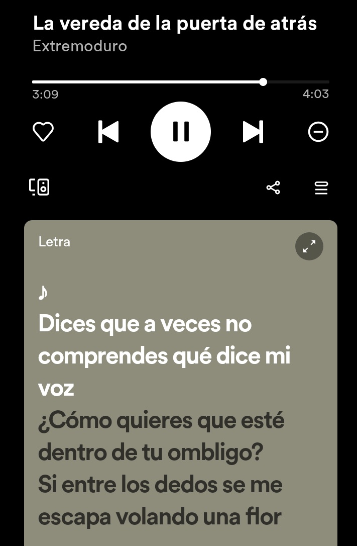 Inés tweet media
