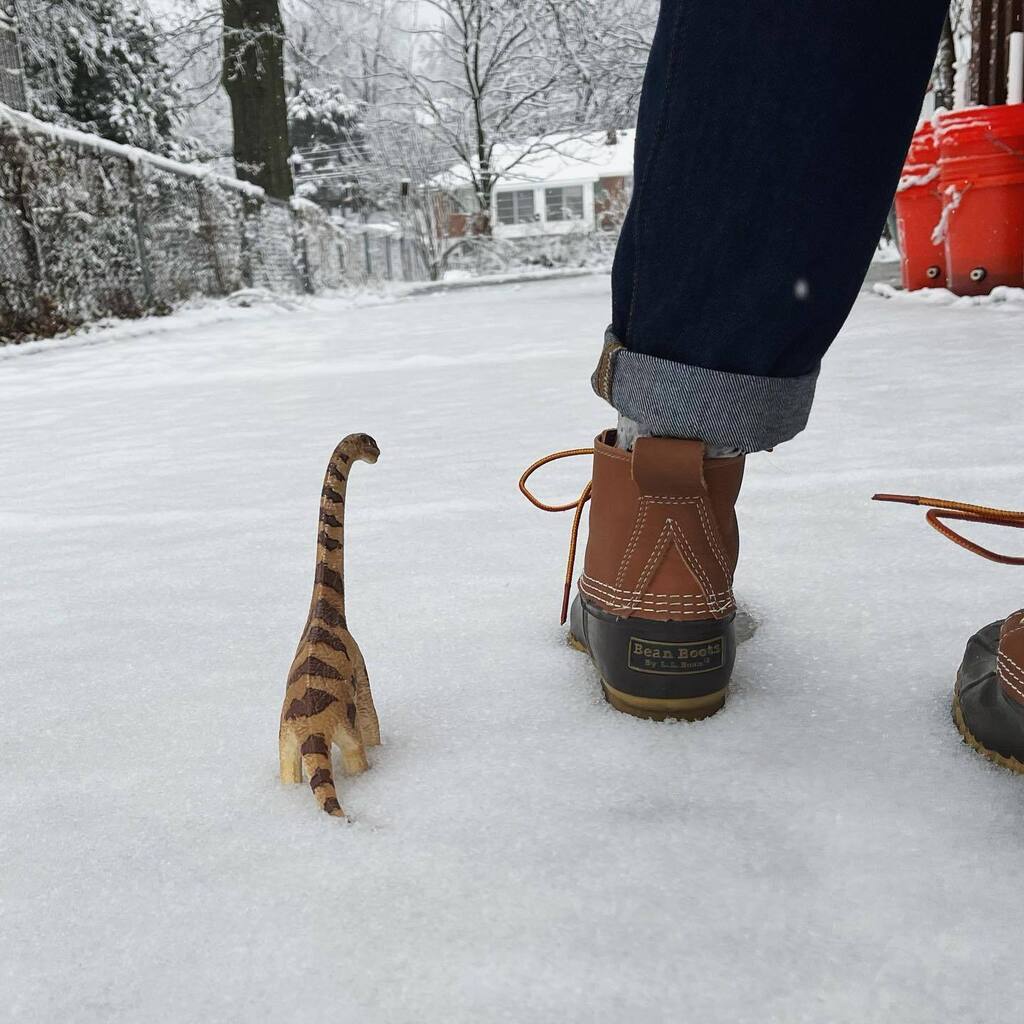 BruceTheBrach's tweet photo. excuse me we are doin WHAT
.
.
.
.
.
#love #dinosaur #dinosofinstagram #vegetarian #adventure #dino #pets #schleich #petsofinstagram #herpetology #reptilesofinstagram #snow #snowday #winter #winterblues #cold #toocold #hatesnow #backinside #duckboots #β¦ https://t.co/38vSUULh07 https://t.co/Al7y6hT1Kr