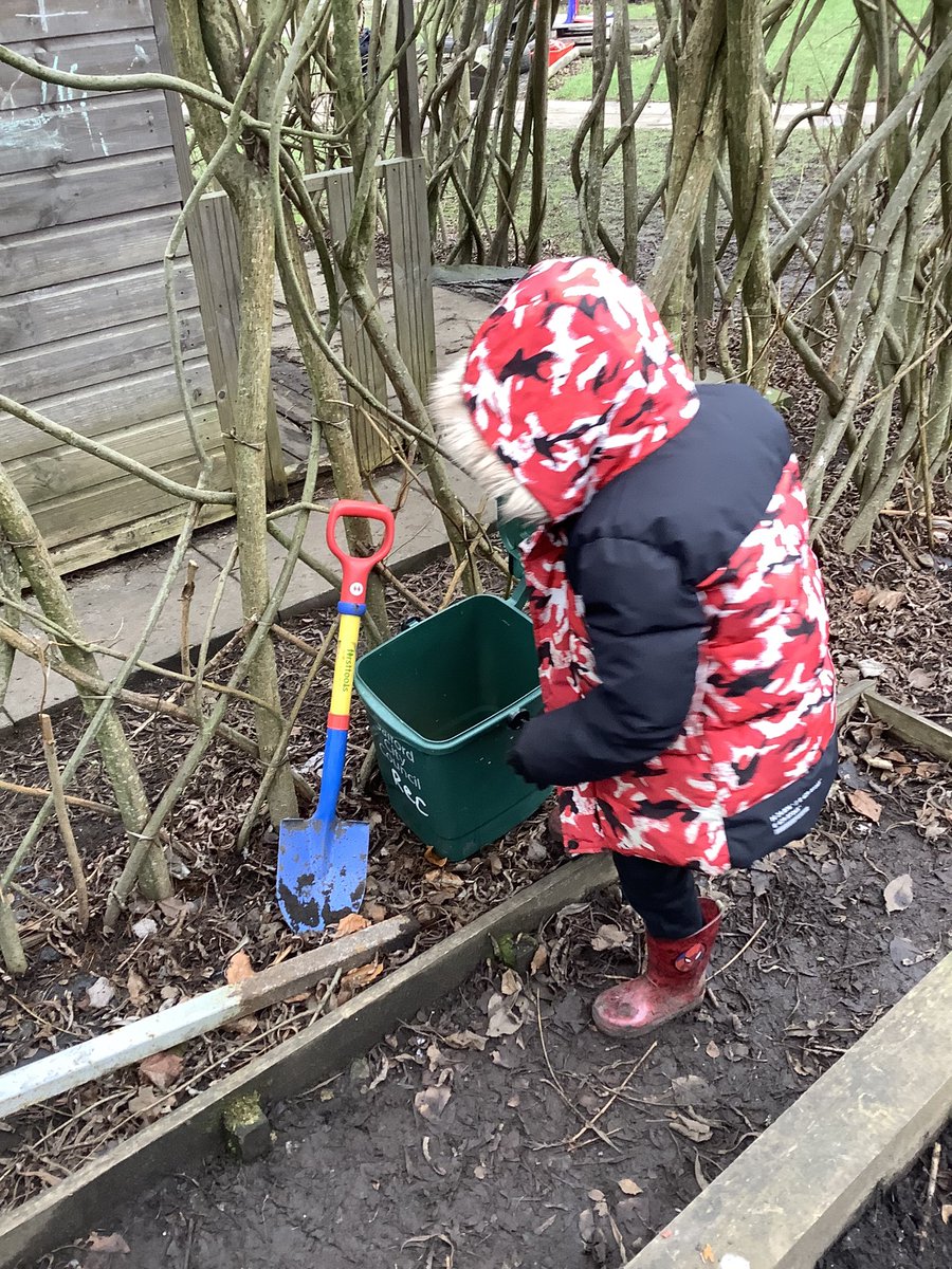 Reception have started to compost. We put our fruit peels and cores into the compost bin and put some damp leaves on top for mulch.