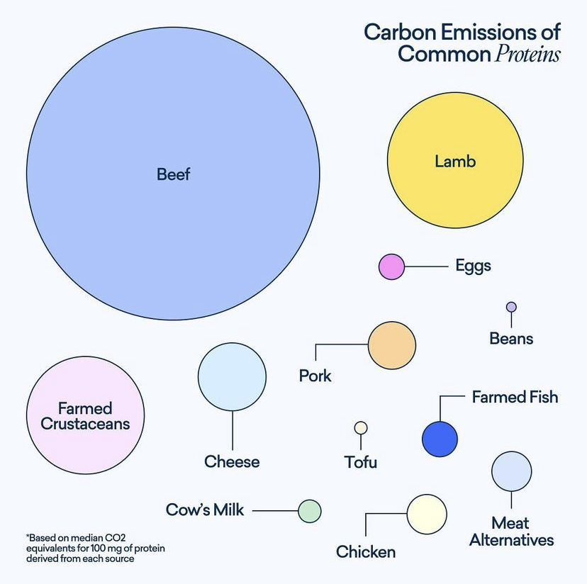 greenpeaceQC's tweet photo. Une visualisation intéressante des émissions de carbone des protéines 👇
Manger #MoinsDeViande peut contribuer à la réduction des émissions provenant de l'agriculture industrielle: https://t.co/Ommw27udIl
🎨: Bon Appétit (Poore and Nemecek, 2018) https://t.co/tgAp0noam8