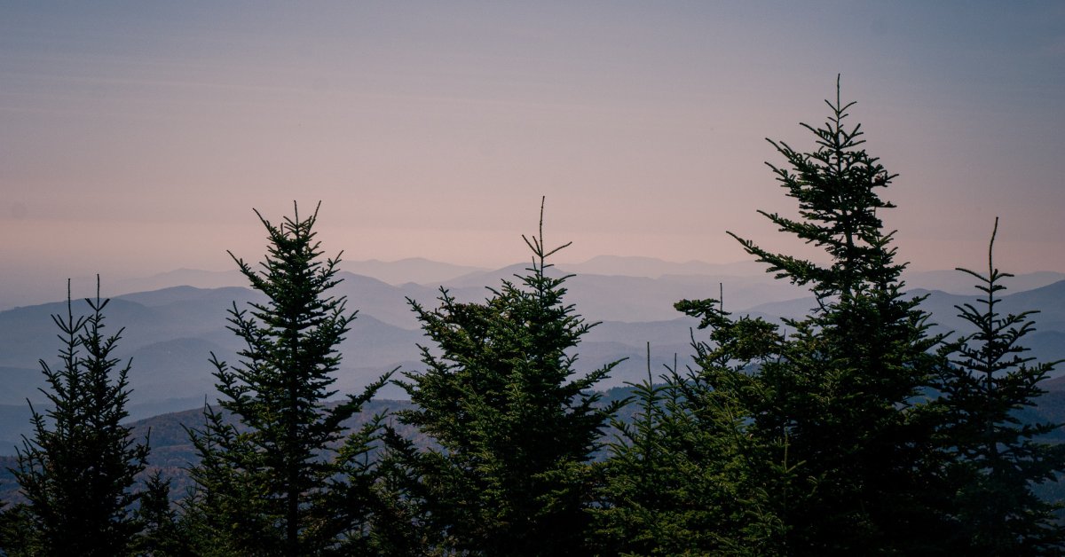 This past month, we’ve been celebrating 2023 as NC’s Year of the Trail! New to trails? Visit the link to find local spots like Mt. Mitchell, the first NC state park, showcasing beautiful mountain views with over 40 miles of trails. Learn more >> greattrailsnc.com/toolkit/