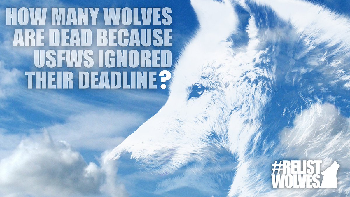 Smirking Class Hero on Twitter "RT relistwolves Deadlines are meant