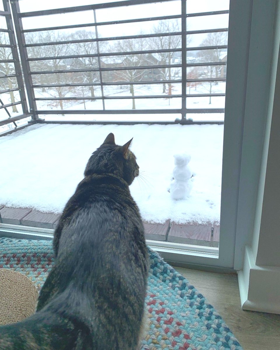 pucvm's tweet photo. Hello there small snow creature how did you get out there?
Stay warm and safe during the #Winterstorms rolling through!
#vetmed #veterinary #PurdueUniversity #PetsOfPurdue #CatsofPurdue #PurduePets #snowday @LifeAtPurdue @AAHAHealthyPet https://t.co/nzMw28mQas