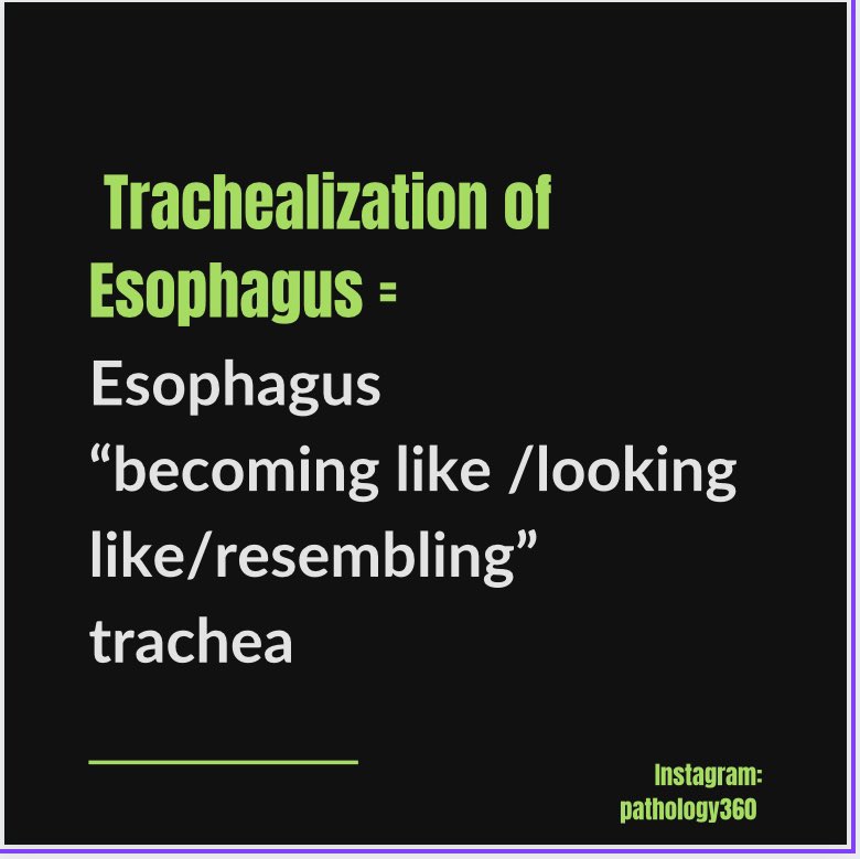 IG_pathology360's tweet photo. Trachealization of Esophagus; What does the term mean ? Explained here. It’s typically described in Eosinophilic Esophagitis. #MedEd #medstudents #pathology360 https://t.co/SjBzYqUk6e