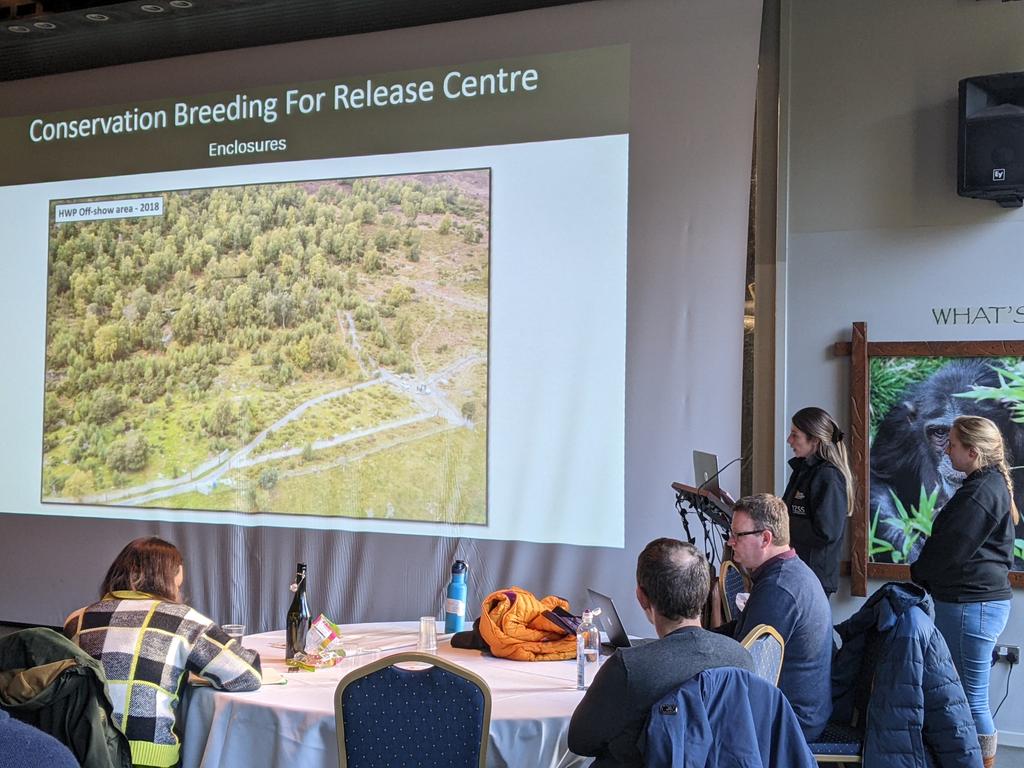 Great talk from Estelle Morgan and Alex Perry of the <a href="/SaveOurWildcats/">Saving Wildcats (#SWAforLIFE)</a> team on the preparation of captive bred wildcats for life in the wild <a href="/BIAZA/">BIAZA</a> field conservation meeting.