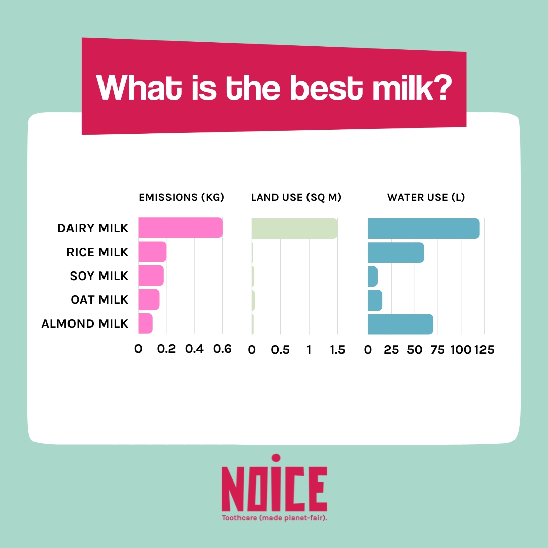 NOICE Botanical Toothpaste tweet media