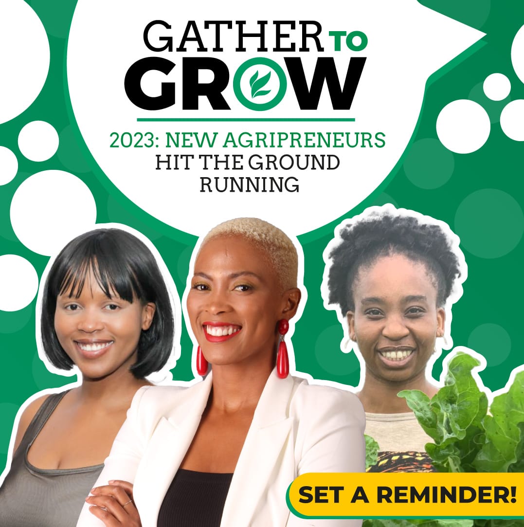 ModoP88's tweet photo. Hey peeps 👩🏽🌾👨🏽🌾👩🏾🌾👨🏼🌾
Join me now as I speak to other lady agripreneurs.
https://t.co/vmu2c9qVnY
#Agrikool 😎
#AgriBusiness 🌾
#SheOO 💅🏾 https://t.co/JW7gfYDk9r