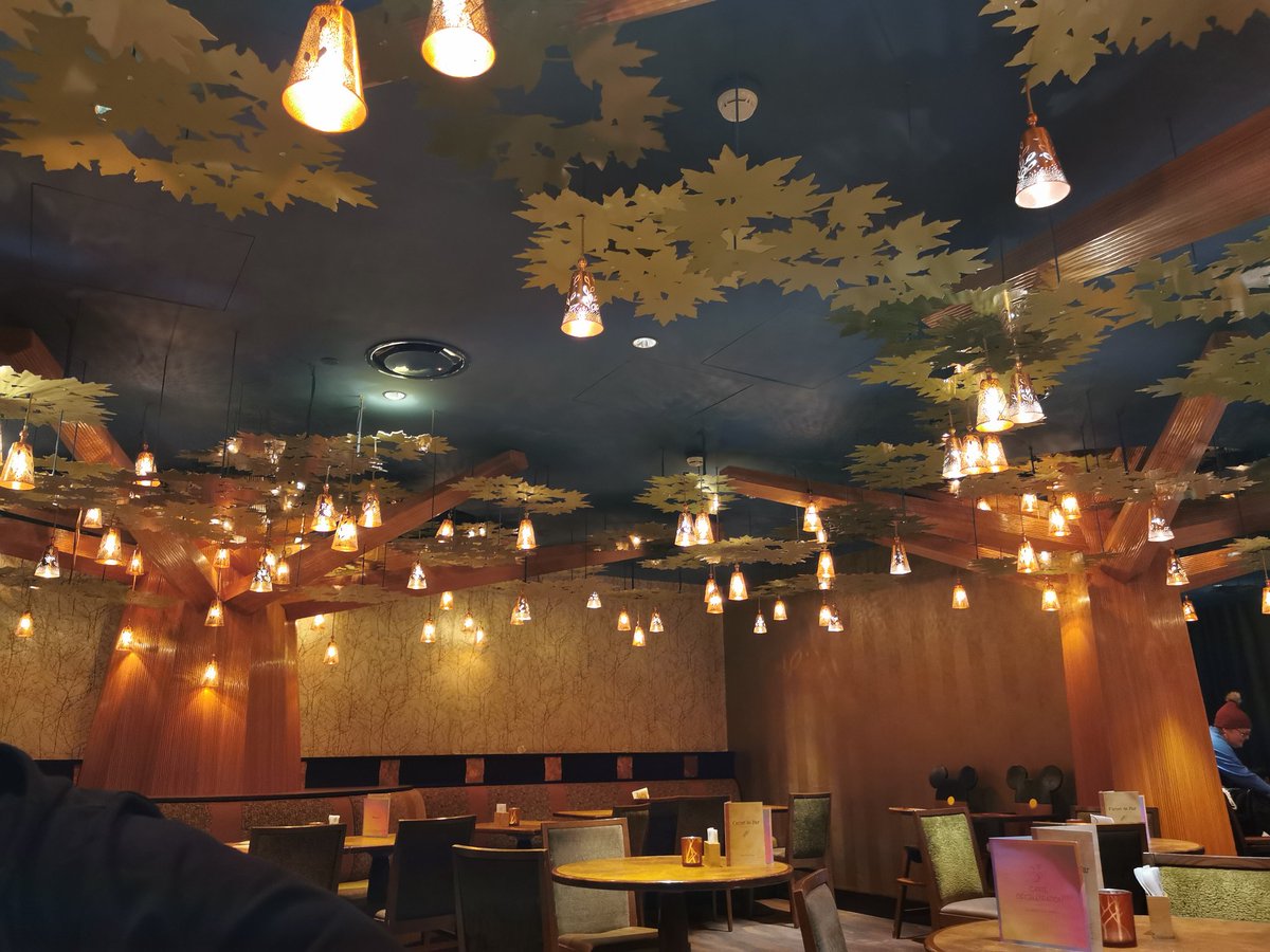 Shayasandre's tweet photo. @magicdlp_de SL Golden Forrest Club, Picture from last Wednesday 😍 https://t.co/UvitRC9M8Z